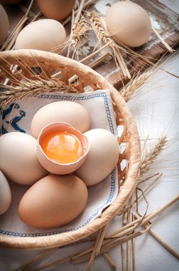 organik yumurta Paskalya için