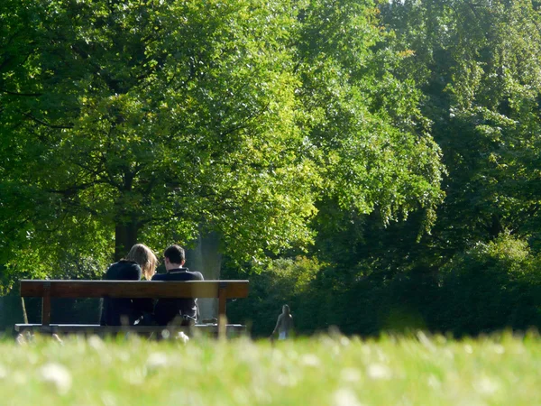 Park in Denemarken — Stockfoto