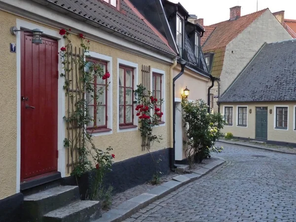 瑞典的房子 — 图库照片