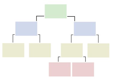 organizasyon