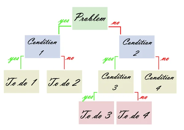 organizasyon