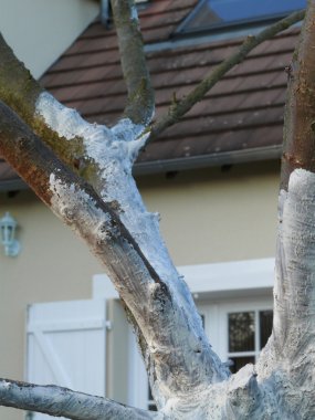 iyileştirme ağacı