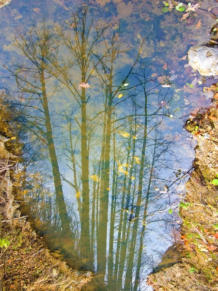 Reflexion über Wasser — Stockfoto
