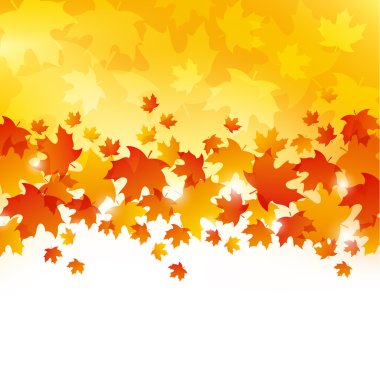 sonbahar yaprakları arka plan