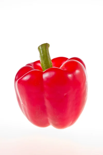 Red geen yellow pepper — Stock Photo, Image