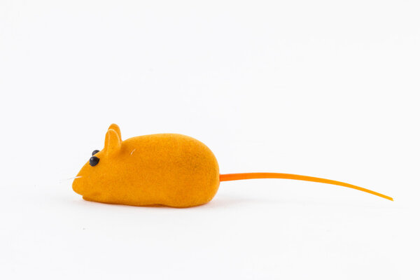 Toy mouse for little kitten isolated on white background