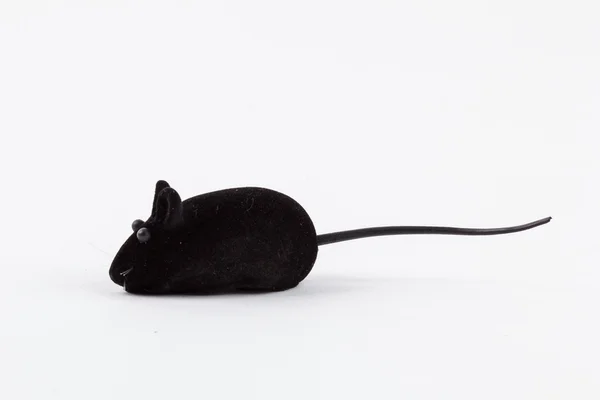 Toy mouse for little kitten isolated on white background — Stock Photo, Image