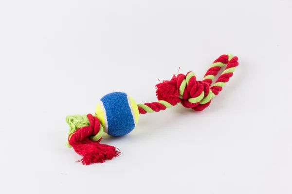 Dog toy - colorful cotton dog toy on a white background — Stock Photo, Image