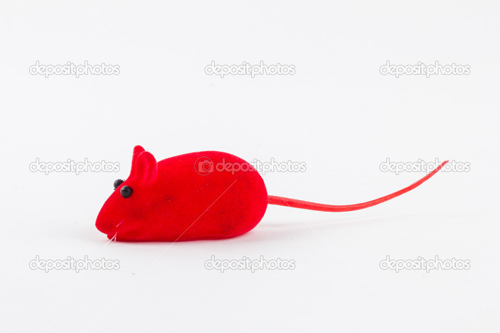 Toy mouse for little kitten isolated on white background