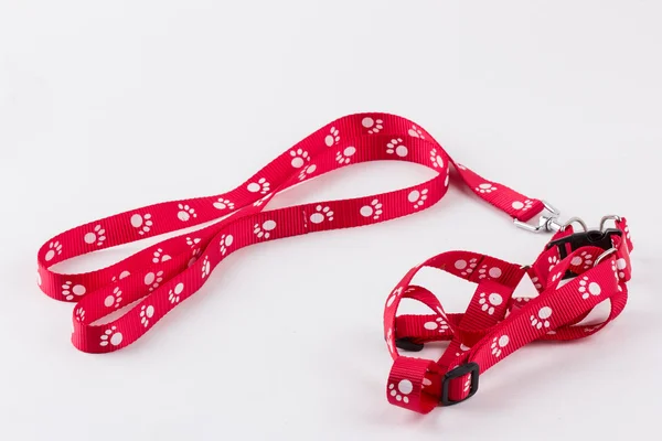 白い背景に隔離された赤い犬の紐と襟、犬の襟とリーチ ロイヤリティフリーのストック画像
