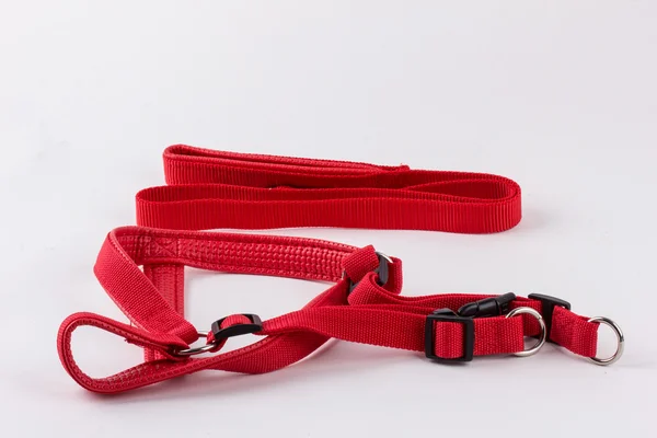 A red dog leash and collar isolated on a white background, Dog Collar and Leash Stock Image