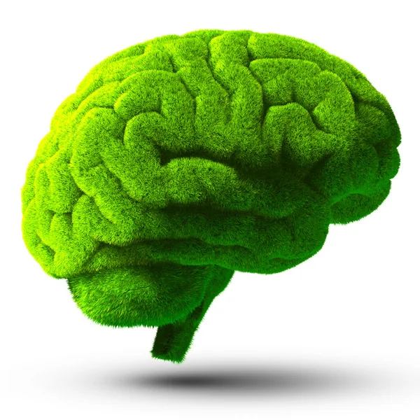 Cérebro verde — Fotografia de Stock