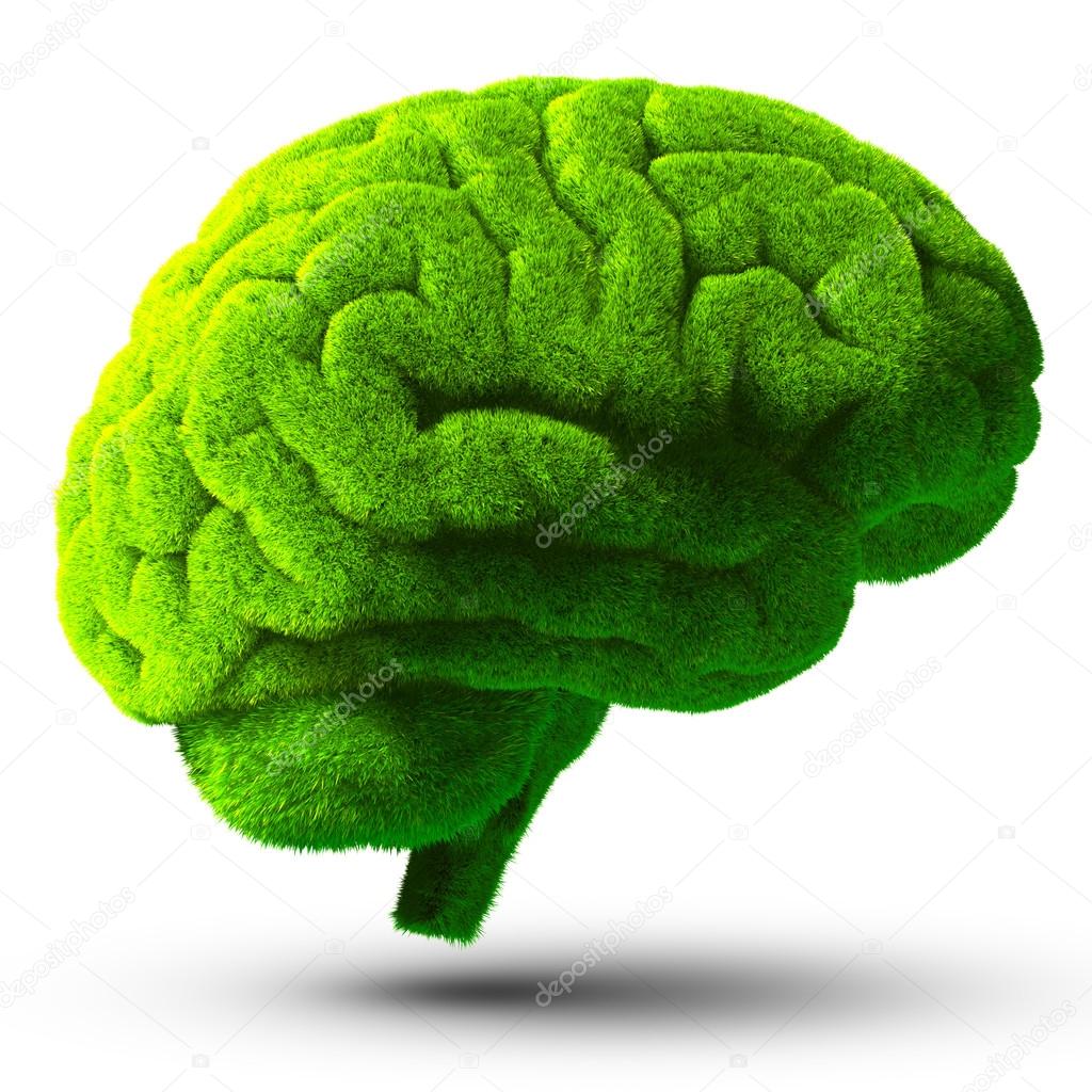 Green brain