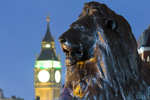 Lion in London's Trafalgar Square with Big Ben in the background — Stock Photo, Image