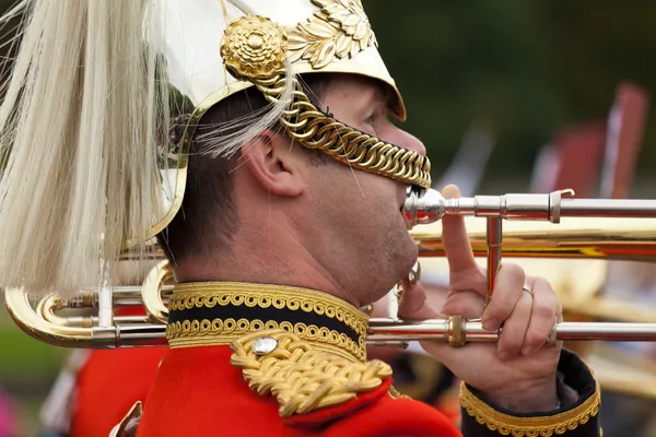 En kunglig vakt vid Buckingham Palace — Stockfoto