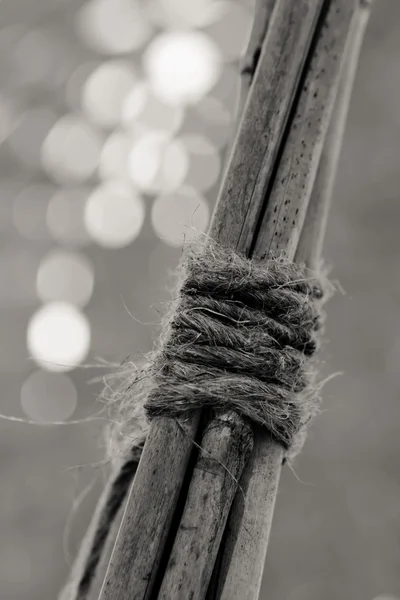 Bundel van bamboe stengels — Stockfoto