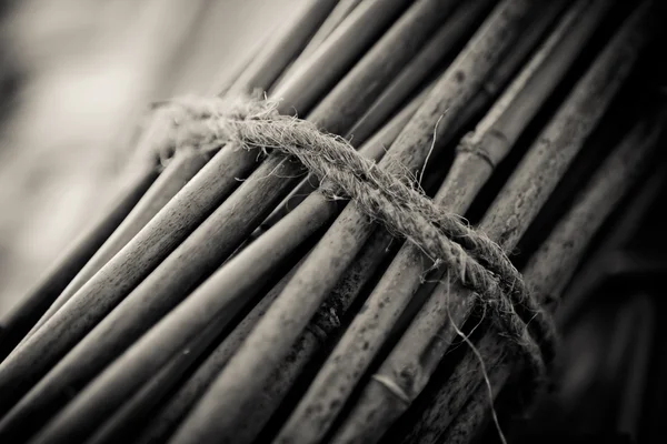 Bündel von Bambusstielen — Stockfoto
