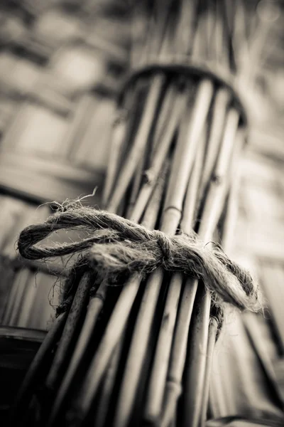 Getöntes Bündel von Bambusstielen — Stockfoto