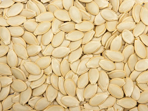 Pumpkin seeds background — Stock Photo, Image