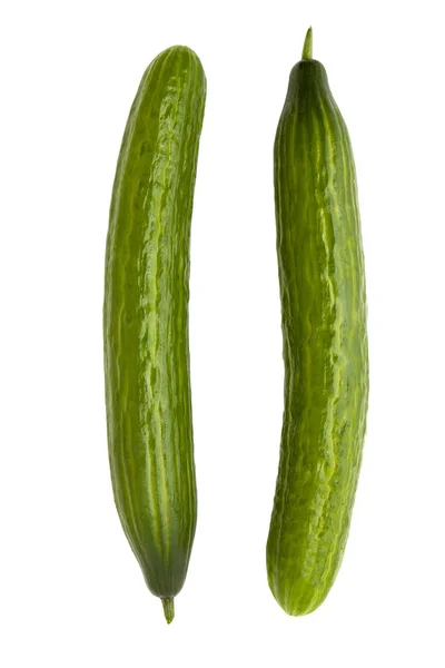 Two long cucumbers — Stock Photo, Image