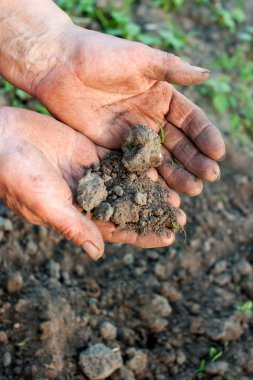 toprak ile yaşlı kadın el
