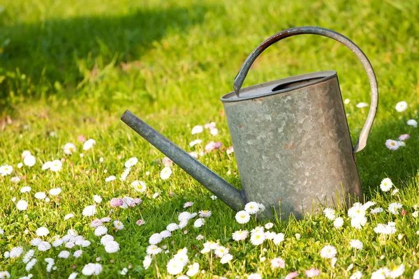 Old watering can in a meadow — Stock Photo, Image