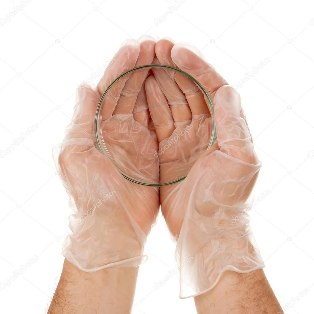 Petri dish in hands isolated