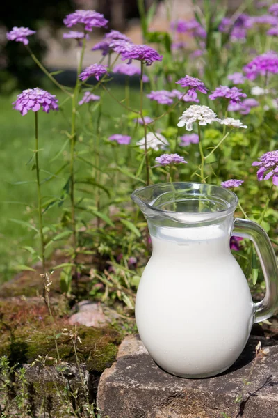 Jug 奶的花园 — 图库照片