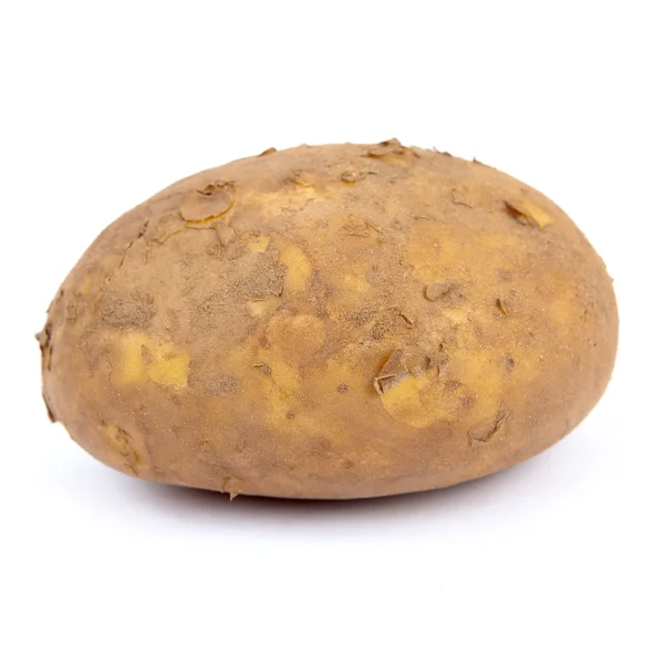 Aardappel op witte achtergrond — Stockfoto