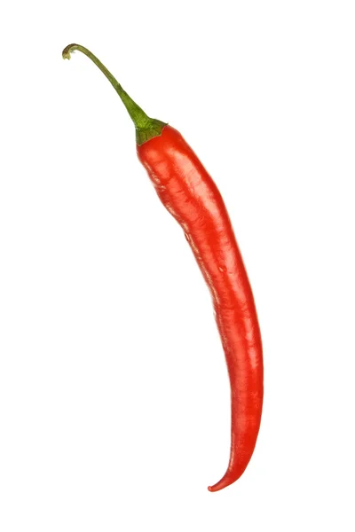 Red hot chilly pepper isolated — Stock Photo, Image