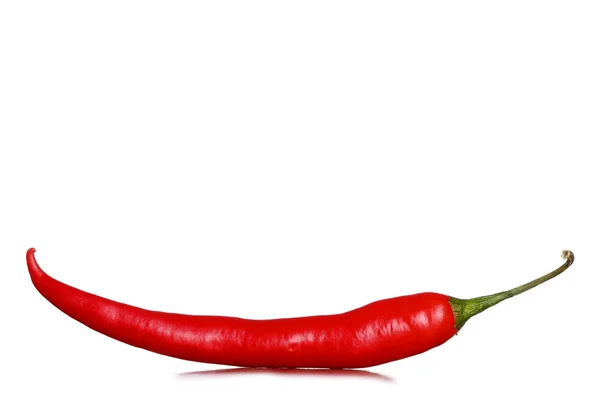 Red hot pepper on white — Stock Photo, Image