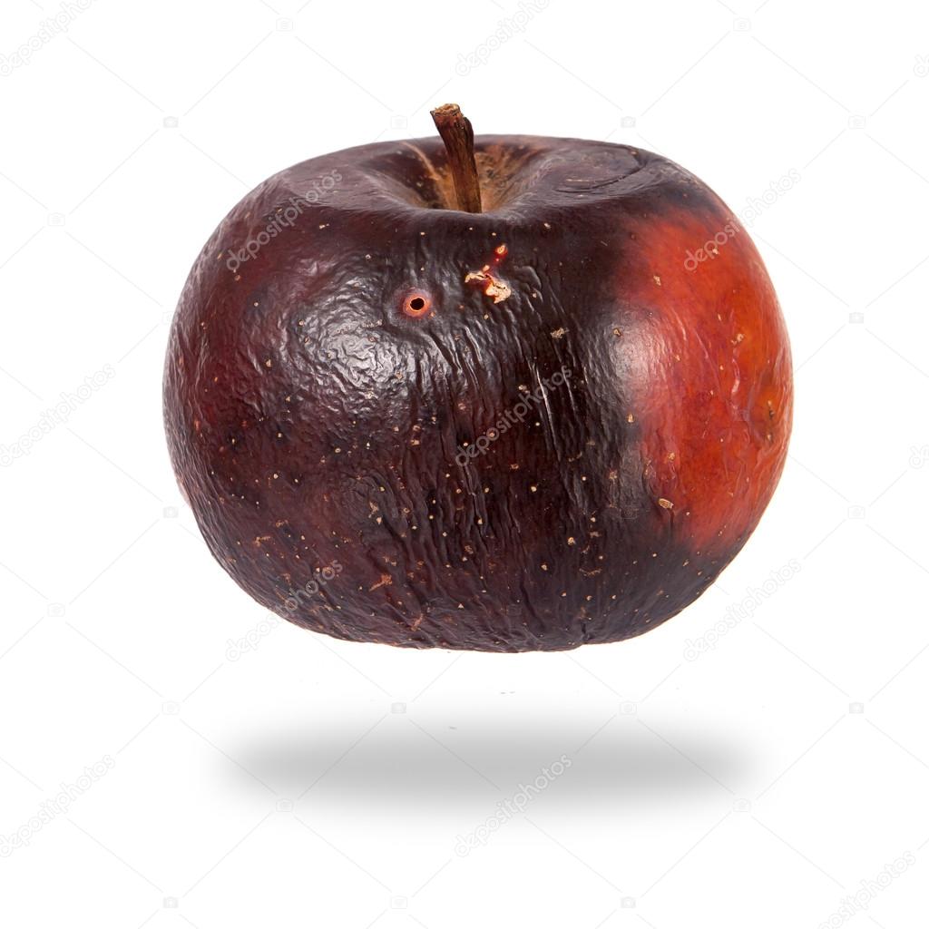 Rotten red apple isolated
