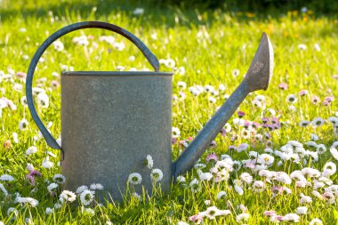 teneke sulama olabilir bir çayırda