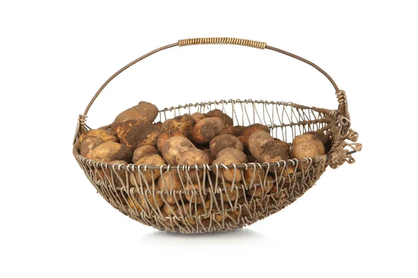 Basket of harvested organic potatoes — Stock Photo, Image