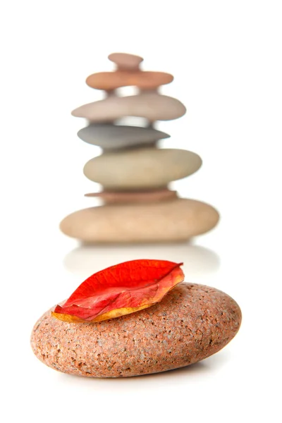 Pedra Zen com folha seca vermelha — Fotografia de Stock