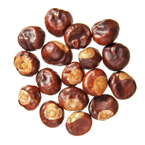 Chestnuts on a white Royalty Free Stock Images