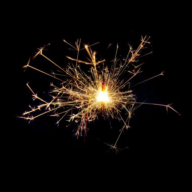 Bengal ateşi pırıltılı siyah