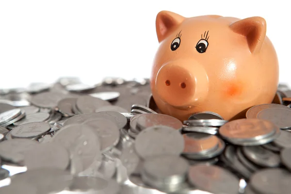 Piggy bank on pile of coins — Stock Photo, Image