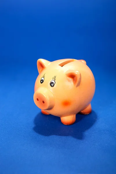 Hucha de cerdo en azul —  Fotos de Stock