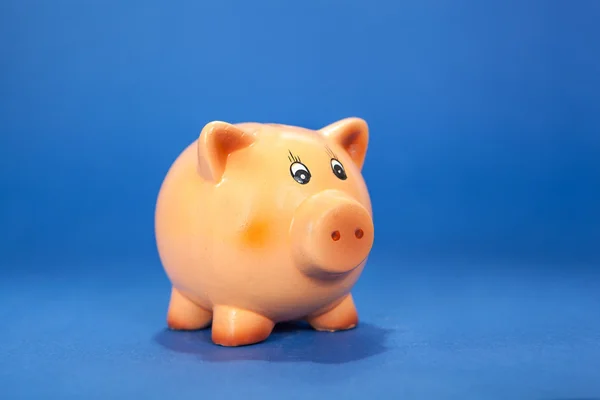 Piggy bank on blue — Stock Photo, Image