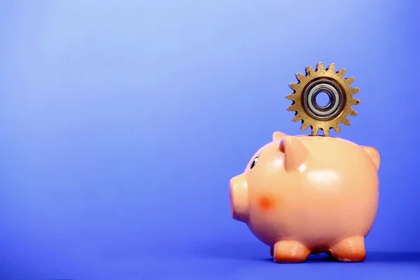Pig bank holding gear on the back — Stock Photo, Image