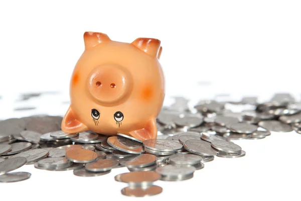 Piggy bank on pile of coins — Stock Photo, Image