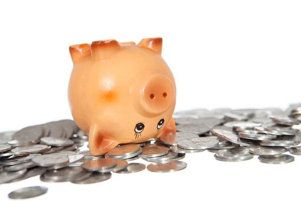 Piggy bank on pile of coins — Stock Photo, Image