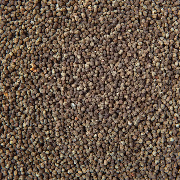 Nasiona maku tło — Zdjęcie stockowe