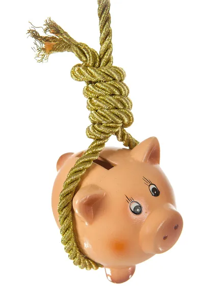 Piggy bank opknoping op hangmans strop — Stockfoto