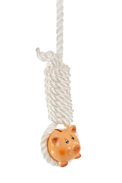 Sparschwein hängt an der Schlinge — Stockfoto