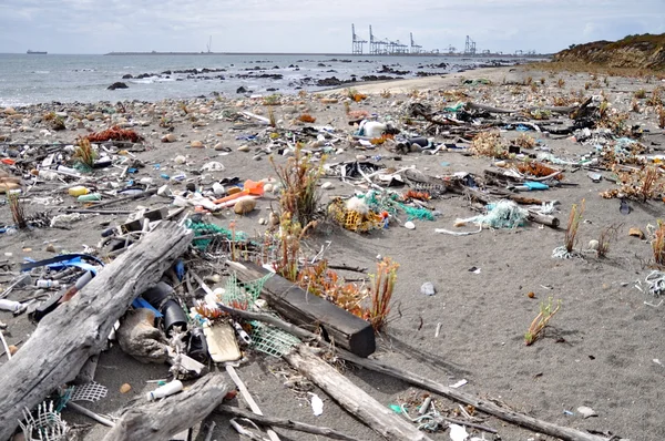 Skräp på stranden med tranor på beackground — Stockfoto