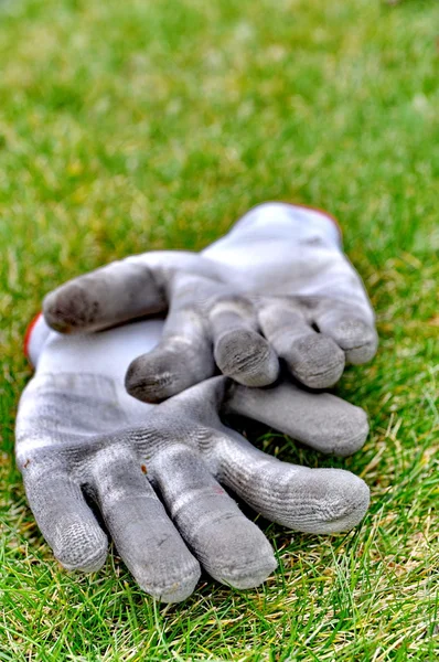 Luvas de jardinagem sujas na grama — Fotografia de Stock