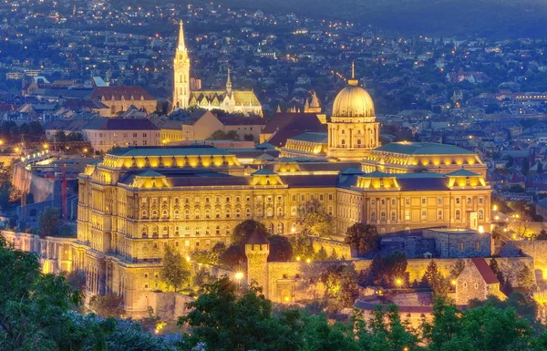 Castillo de Budapest —  Fotos de Stock