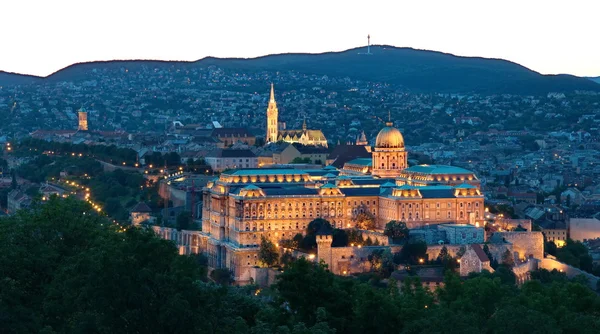 Castillo de Budapest —  Fotos de Stock
